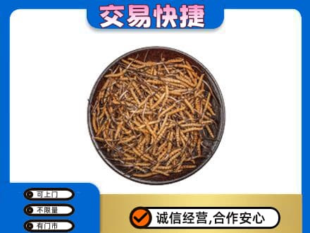 唐山市滦州回收散虫草